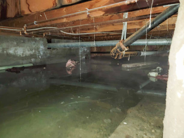 Water damage restoration process in Omaha, TX