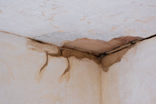 Trusted Omaha, TX Water damage restoration Experts