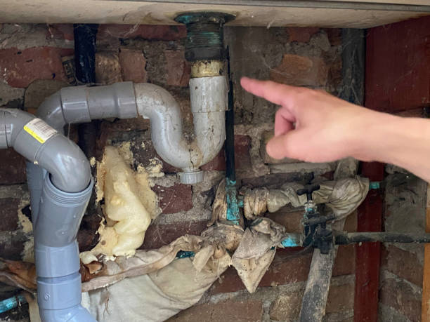 Best 24-hour water damage restoration  in Omaha, TX